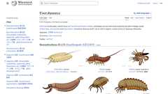 日本語版Wikipediaの編集者で節足動物のイラストを描きまくっている人物「Junnn11」が海外サイトで注目を集める