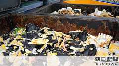 恵方巻き、大量廃棄の現実 店頭に並ばないケースも…:朝日新聞デジタル