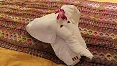 まさかそんなものまで? 魅惑の「タオルアート」15選