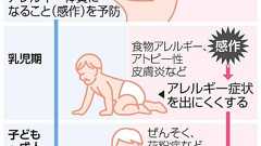 赤ちゃんが花粉症やアトピーならない? 妊娠中に予防で:朝日新聞デジタル