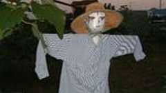 あたまのかたいえらいせんせい。