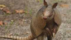 「仕事ではじめる機械学習」を読んだメモ