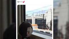 ぬいぐるみを外に持ち出す人を見ると「汚れないかな?」と思ってたけど、理解っちまった…。あれは「ぬいに世界を見せている」んだ…