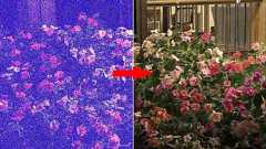 機械学習によって暗い場所で撮影された真っ暗な写真を超鮮明に修正可能な技術が開発される