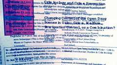 ここ100年、人類のIQは上がり続けている。では、具体的にどのように「賢く」なっているのだろうか。