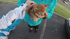 CBR250Rで子猫を救出した女性ライダーの動画、一夜で人気動画に