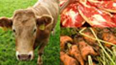 科学無視のトランス脂肪酸批判 思わぬ弊害が表面化