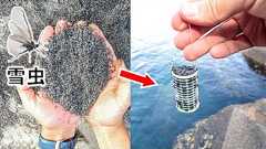 「雪虫」をかき集めて、釣りのエサにしてみた