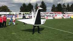 グルージャ盛岡のキヅール、登場初日にいきなりの悲劇が… - ドメサカブログ