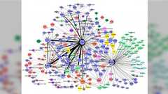 #世界言語ネットワークの中の日本