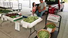 地理的表示「GIマーク」がパクられたらどうするの?農水省が商標登録も出願中! - 特許一年生