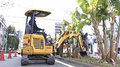 中央分離帯に“無許可バナナ” ついに撤去 「バナナに罪はない」 勝手に育てた男性はその後... 福岡・久留米市|FNNプライムオンライン
