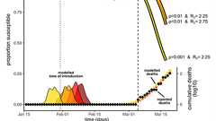 日本人はすでに新型コロナの集団免疫をもっている? : 池田信夫 blog