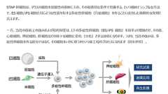 このIRがすごい!上場企業2014(前編) : 市況かぶ全力2階建