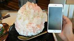 桜餅味の巨大かき氷や席で焼きながら食べる麩まんじゅうを「たすき」で食べてきました