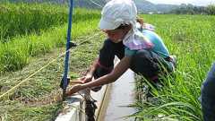 天才少女の発明がカエルをU字溝から救う!? | AERA DIGITAL(アエラデジタル)