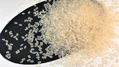 【あさひ 純-白米4.5kg】 完売しました。秋の収穫までお待ちください。白米1.5kg(脱酸素パック)×3個 旭1号 自然栽培継続 農薬不使用 化学肥料不使用 有機肥料不使用 高アミロース 低GI 高アミロース