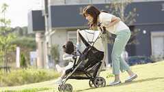 元フジテレビアナウンサーが主張する「専業主婦が増えれば少子化は解決する」という意見がいまさら過ぎて頭痛が痛い。 : シェアーズカフェのブログ