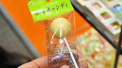 約1時間ずっとなめ続けられる「60分キャンディー」、開発のきっかけは漁師の栄養補給