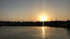 『できるだけ走ろう!5月9日~12日』月間目標に対してどれだけ近づけた?走った距離をまとめて報告! - ken-j’s diary