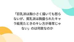 「巨乳派は胸小さく描いても怒らないが、貧乳派は胸盛られたキャラ絵見たときのキレ方が尋常じゃない」のは何故なのか