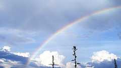 どうすれば数学ガールが書けますか(Q&A) |結城浩|note