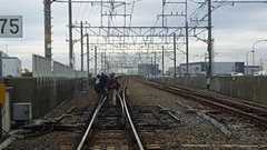 夢の国東京ディズニーランドは京葉線が全線止まるとキャストやダンサーが来れなくなるので現実としてショーが出来ない : 市況かぶ全力2階建