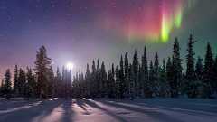 北欧の美しいオーロラ:ハムスター速報