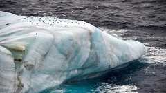 北極圏を襲う温暖化の現実 ロシアの砕氷船から見えたもの