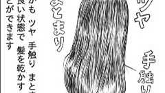 【漫画で解説】髪のプロが教える 時短でもツヤまとまりに差が出るドライヤーの乾かし方 | ねとらぼ