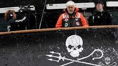 シーシェパード「テロ準備罪のせいでもう日本で活動できない。捕鯨妨害を中止する」 : 痛いニュース(ノ∀`)