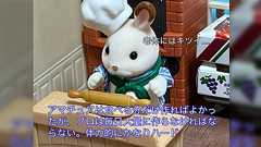 シルバニアファミリーで学ぶ「定年後の開業が即廃業する理由」が分かりやすくて世知辛い