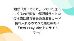 娘が「買ってくれ」ってURL送ってくるのが変な中華通販サイトなの本当に嫌だああああああカード情報入れるのマジで嫌だああ→「せめてPayPal使えるサイトで…」