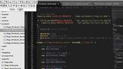 Windows 版の Sublime Text 2 を使う