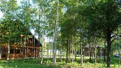 こんな快適な夏があったのか!ニセコでの長期ノマドワーキング!