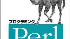 職業としてのPerlを書き続けることの難しさとPerl教育革命 - はてな村定点観測所