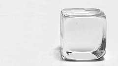 クラゲから色素抽出 透過率99%以上