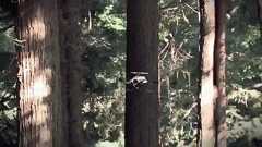 Intelが衝突防止システムを備えたドイツのドローンメーカーを買収 - BRIDGE(ブリッジ)