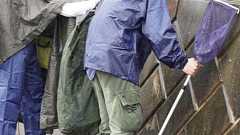 「逃げヘビ」はまだ収束せず、環境省が飼い主への徹底対策呼びかけ - 社会 : 日刊スポーツ