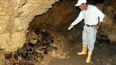 チビチリガマ荒らした容疑、少年4人逮捕 沖縄県警:朝日新聞デジタル