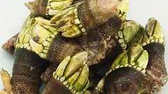 【簡単】日本酒とつまみの相性を科学する【レシピ】