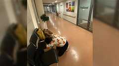 ドイツで出産、ギャグだったから聞いて欲しい→あまりの壮絶さに「これをギャグとして話せるのがタフですごい」