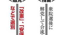 民進、解党先延ばしの理由は… 「奇策」との批判も:朝日新聞デジタル