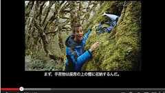 “機内安全ビデオ”なのにオール野外ロケ! “ニュージーランド航空”の新作が相変わらずぶっ飛んでる|ガジェット通信 GetNews