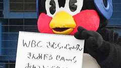 【ヤクルト】つば九郎担当スタッフ肺高血圧症で永眠 4日に空港で倒れ入院 高津監督ら見舞いも - プロ野球 : 日刊スポーツ