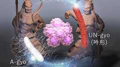 阿吽の呼吸で「がん腫瘍を消失」させる2種の複合細菌を発見! - ナゾロジー