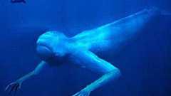 【閲覧注意】表に出てない、あなたの知ってる「ヤバイ」話『逆バミューダ』 : 哲学ニュースnwk