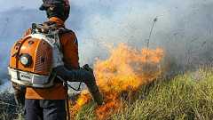 世界最大の熱帯湿原に非常事態 「制御不能の火災」 ブラジル