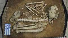 8000年前の人骨、オーストロネシア語族の理解ヒントに 台湾