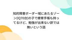 知的障害ボーダー域にあたるゾーン(IQ70台)の子で療育手帳も持ってるけど、勉強が出来ない訳では無いという話
